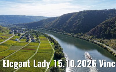 Elegant Lady 15.10.2026 Vineyards and fields, Briedern