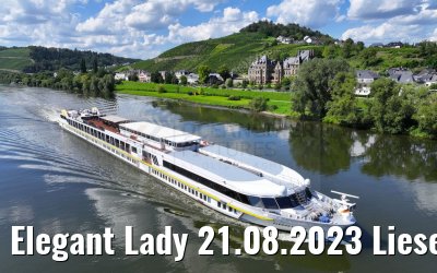 Elegant Lady 21.08.2023 Lieser, Mosel