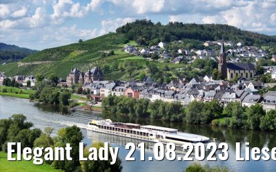 Elegant Lady 21.08.2023 Lieser, Mosel