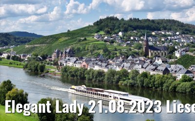 Elegant Lady 21.08.2023 Lieser, Mosel