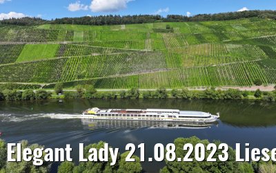 Elegant Lady 21.08.2023 Lieser, Mosel
