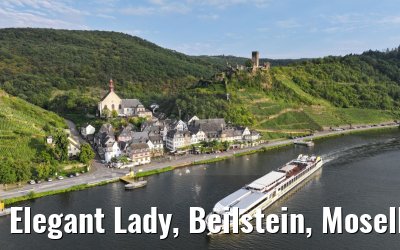 Elegant Lady, Beilstein, Moselle 22.08.2023