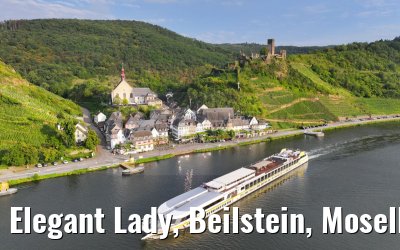 Elegant Lady, Beilstein, Moselle 22.08.2023