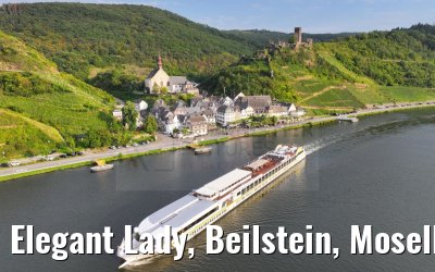 Elegant Lady, Beilstein, Moselle 22.08.2023