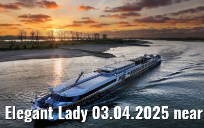 Elegant Lady 03.04.2025 near Nijmegen