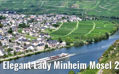 Elegant Lady Minheim Mosel 21.08.2023