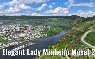 Elegant Lady Minheim Mosel 21.08.2023