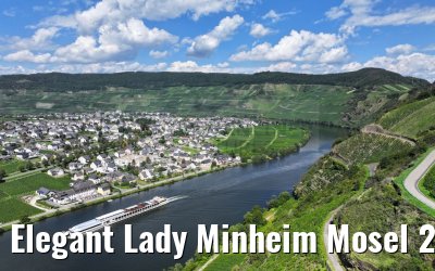Elegant Lady Minheim Mosel 21.08.2023