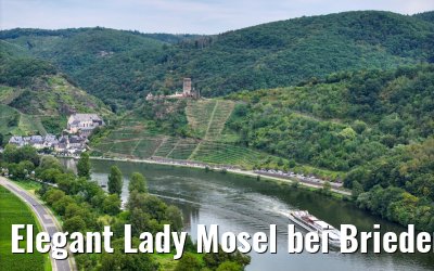 Elegant Lady Mosel bei Briedern 19.08.2023