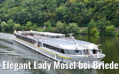 Elegant Lady Mosel bei Briedern 19.08.2023