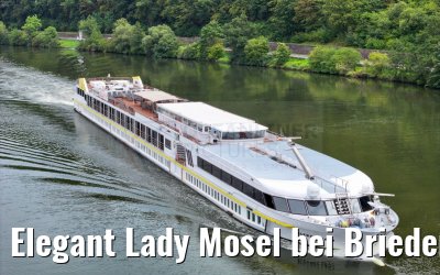 Elegant Lady Mosel bei Briedern 19.08.2023