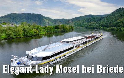 Elegant Lady Mosel bei Briedern 19.08.2023