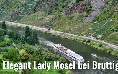 Elegant Lady Mosel bei Bruttig-Fankel 19.08.2023