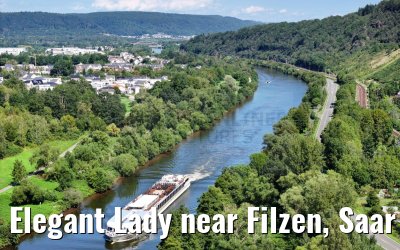 Elegant Lady near Filzen, Saar river 20.08.2023
