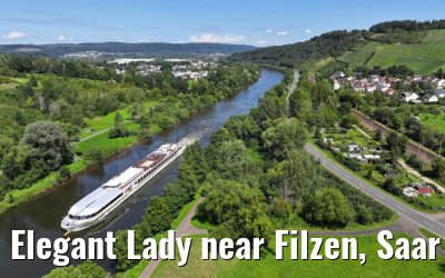 Elegant Lady near Filzen, Saar river 20.08.2023