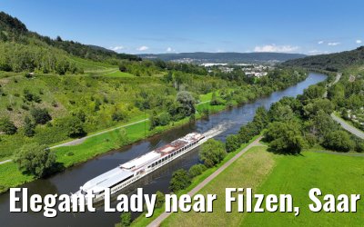 Elegant Lady near Filzen, Saar river 20.08.2023