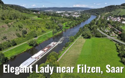 Elegant Lady near Filzen, Saar river 20.08.2023