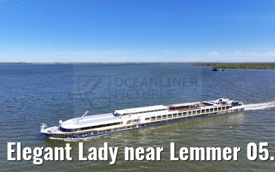 Elegant Lady near Lemmer 05.04.2025