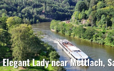 Elegant Lady near Mettlach, Saar 20.08.2023