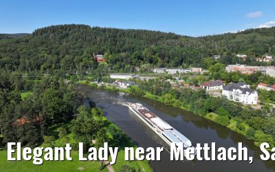 Elegant Lady near Mettlach, Saar 20.08.2023