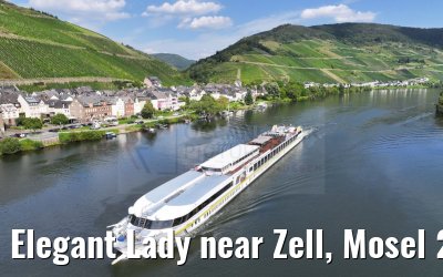 Elegant Lady near Zell, Mosel 22.08.2023
