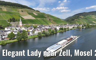 Elegant Lady near Zell, Mosel 22.08.2023