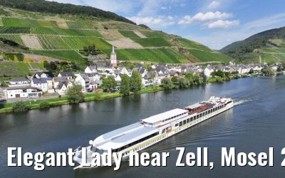 Elegant Lady near Zell, Mosel 22.08.2023