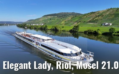 Elegant Lady, Riol, Mosel 21.08.2023