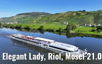Elegant Lady, Riol, Mosel 21.08.2023
