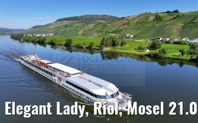 Elegant Lady, Riol, Mosel 21.08.2023