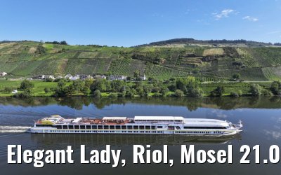 Elegant Lady, Riol, Mosel 21.08.2023