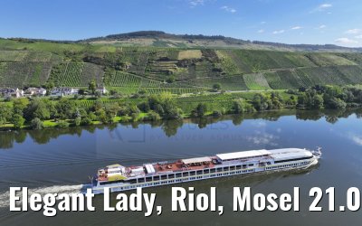 Elegant Lady, Riol, Mosel 21.08.2023