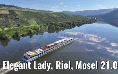 Elegant Lady, Riol, Mosel 21.08.2023