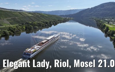 Elegant Lady, Riol, Mosel 21.08.2023