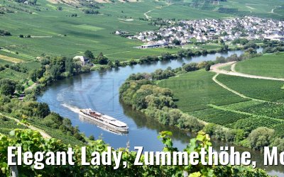 Elegant Lady, Zummethöhe, Mosel 21.08.2023