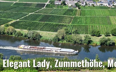 Elegant Lady, Zummethöhe, Mosel 21.08.2023