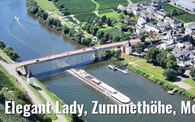 Elegant Lady, Zummethöhe, Mosel 21.08.2023