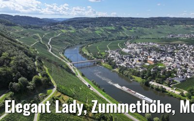 Elegant Lady, Zummethöhe, Mosel 21.08.2023