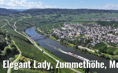 Elegant Lady, Zummethöhe, Mosel 21.08.2023