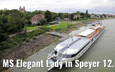 MS Elegant Lady in Speyer 12.08.2017