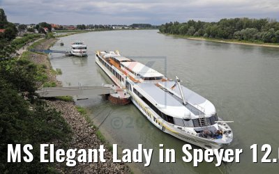 MS Elegant Lady in Speyer 12.08.2017
