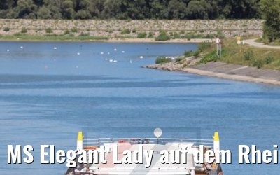 MS Elegant Lady auf dem Rhein zwischen Breisach und Basel 14.08.2017