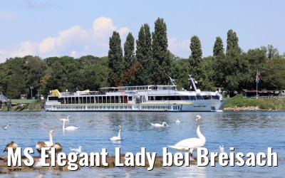 MS Elegant Lady bei Breisach 14.08.2017