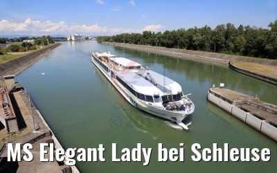 MS Elegant Lady bei Schleuse Breisach 14.08.2017