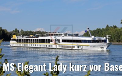 MS Elegant Lady kurz vor Basel 14.08.2017