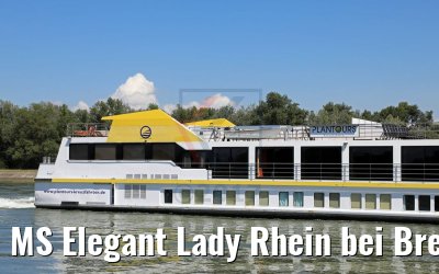 MS Elegant Lady Rhein bei Breisach 14.08.2017