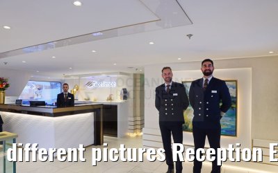 different pictures Reception Excellence Pearl