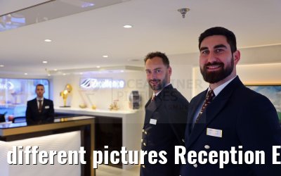 different pictures Reception Excellence Pearl