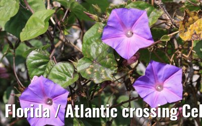 Florida / Atlantic crossing Celebrity Constellation April/May 2009