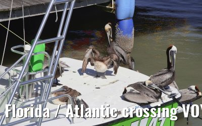 Florida / Atlantic crossing VOYAGER OF THE SEAS - April / May 2007